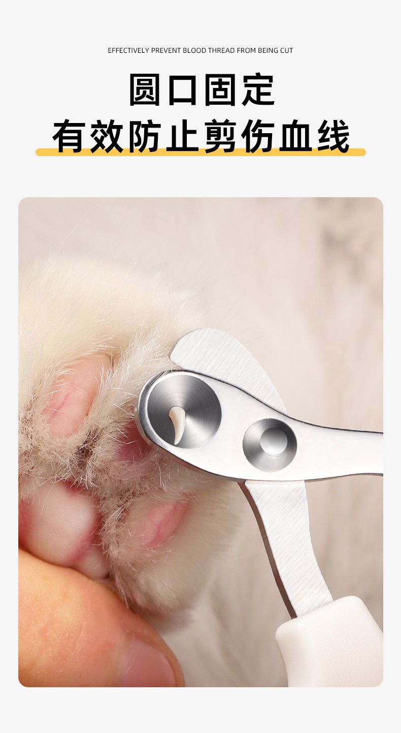 猫咪专用指甲剪小盲剪猫剪指甲神器宠物指甲钳指甲刀用猫爪子剪刀详情3