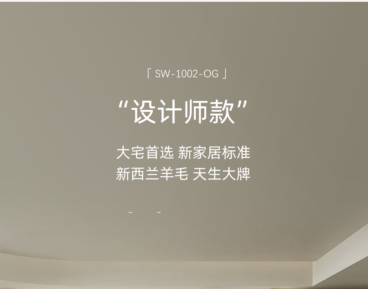 新款高端客厅地毯四季家用羊毛地毯耐脏易打理防滑加厚床边毯地垫详情15