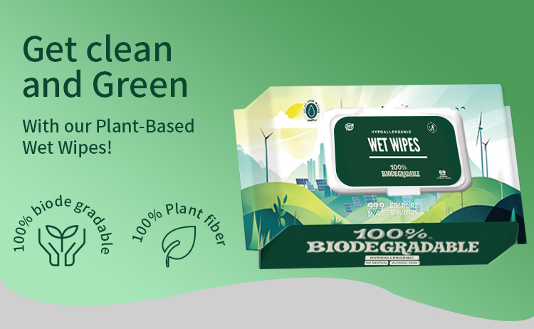 湿巾大包80抽家用湿巾纸英文可降解手口清洁湿纸巾详情2