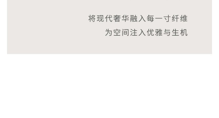 地毯客厅2024新款轻奢高级感卧室沙发厚大面积全铺免洗可擦奶油风详情18