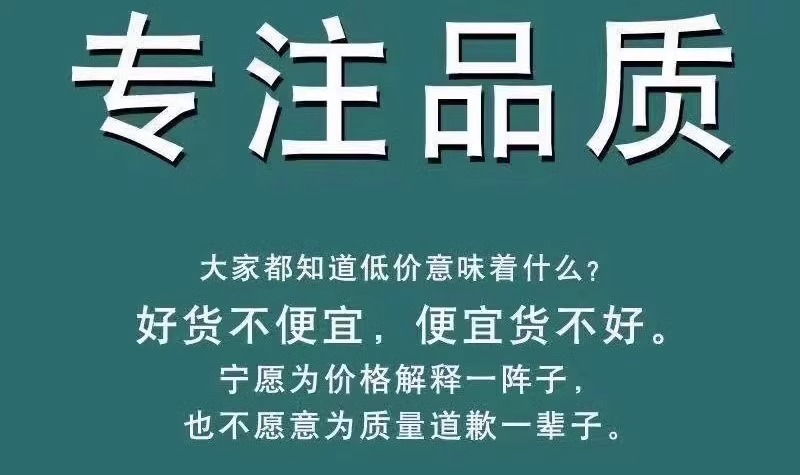 专供海外批发~重磅纯棉短袖T恤男夏季2025新款上衣国潮男女情侣款详情3