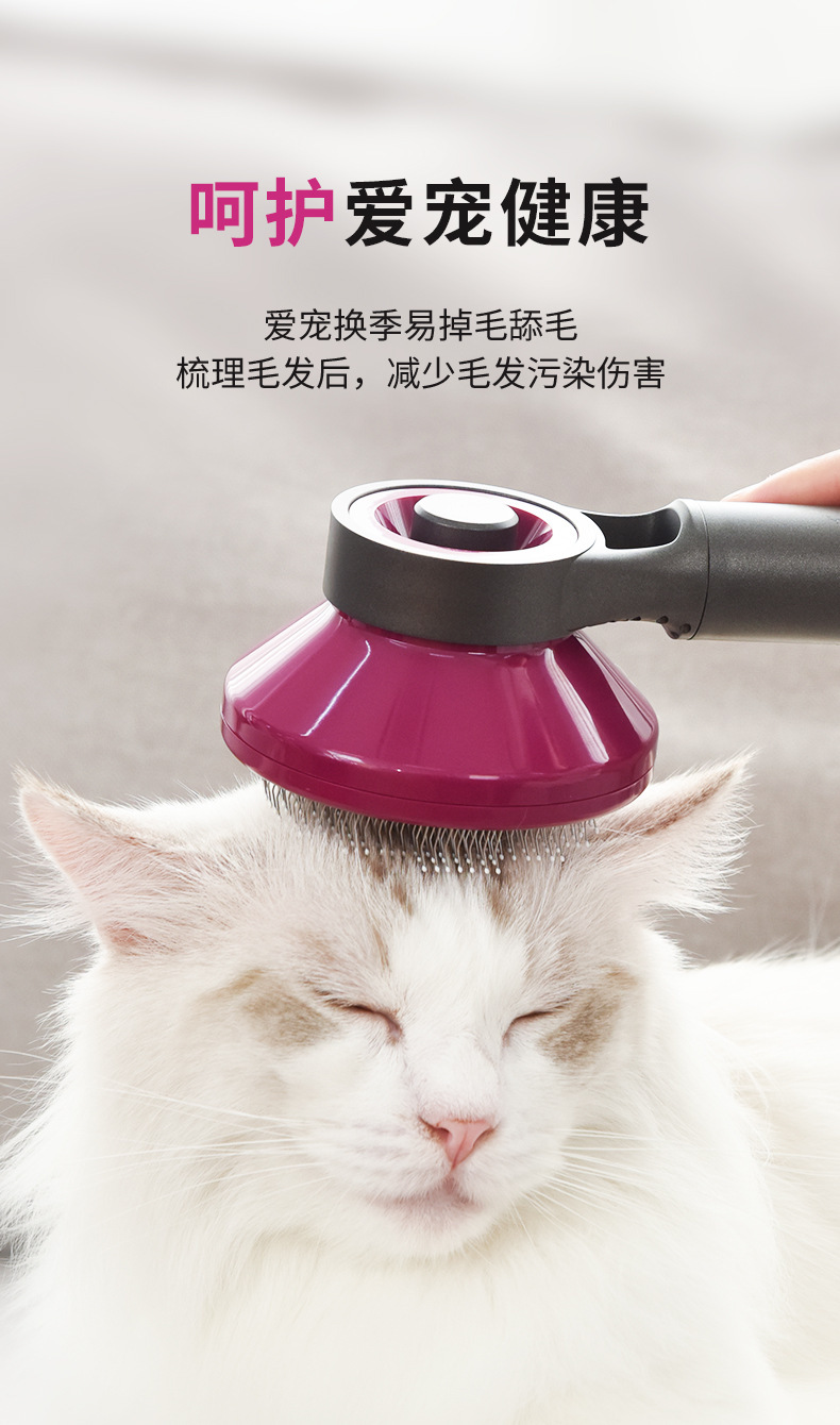 新款宠物猫咪自洁梳狗狗清洁除毛刷可水洗梳子三件套套装宠物用品详情22