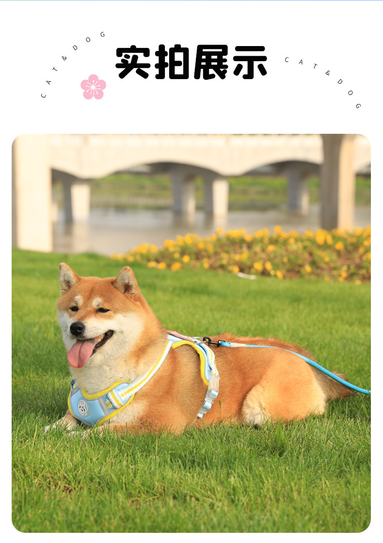 云感舒适颜值出街910胸背带柴犬款寸衫束紧夹休闲百搭女潮流夏季新款详情15