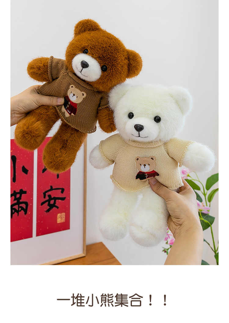 毛衣泰迪熊公仔毛衣百变小熊毛绒玩具情人节送女生布娃娃礼物熊送详情11