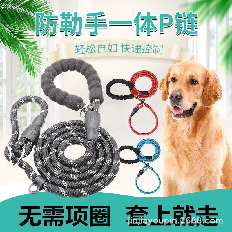 Pet dog leash chain supplies, P-chain dog walking leash, explosion-proof p leash, medium and large-sized golden Retriever pic 5