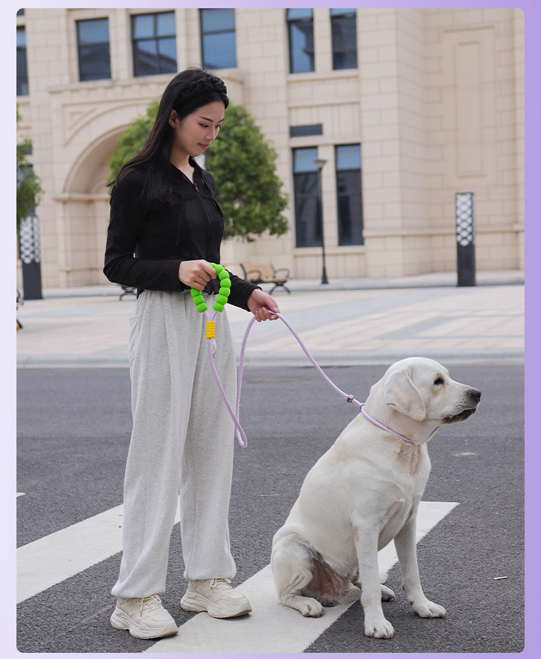 Outdoor dog leash, large dog P-chain pet leash, medium and large dog explosion-proof impact multi-functional dog walking leash pic 13