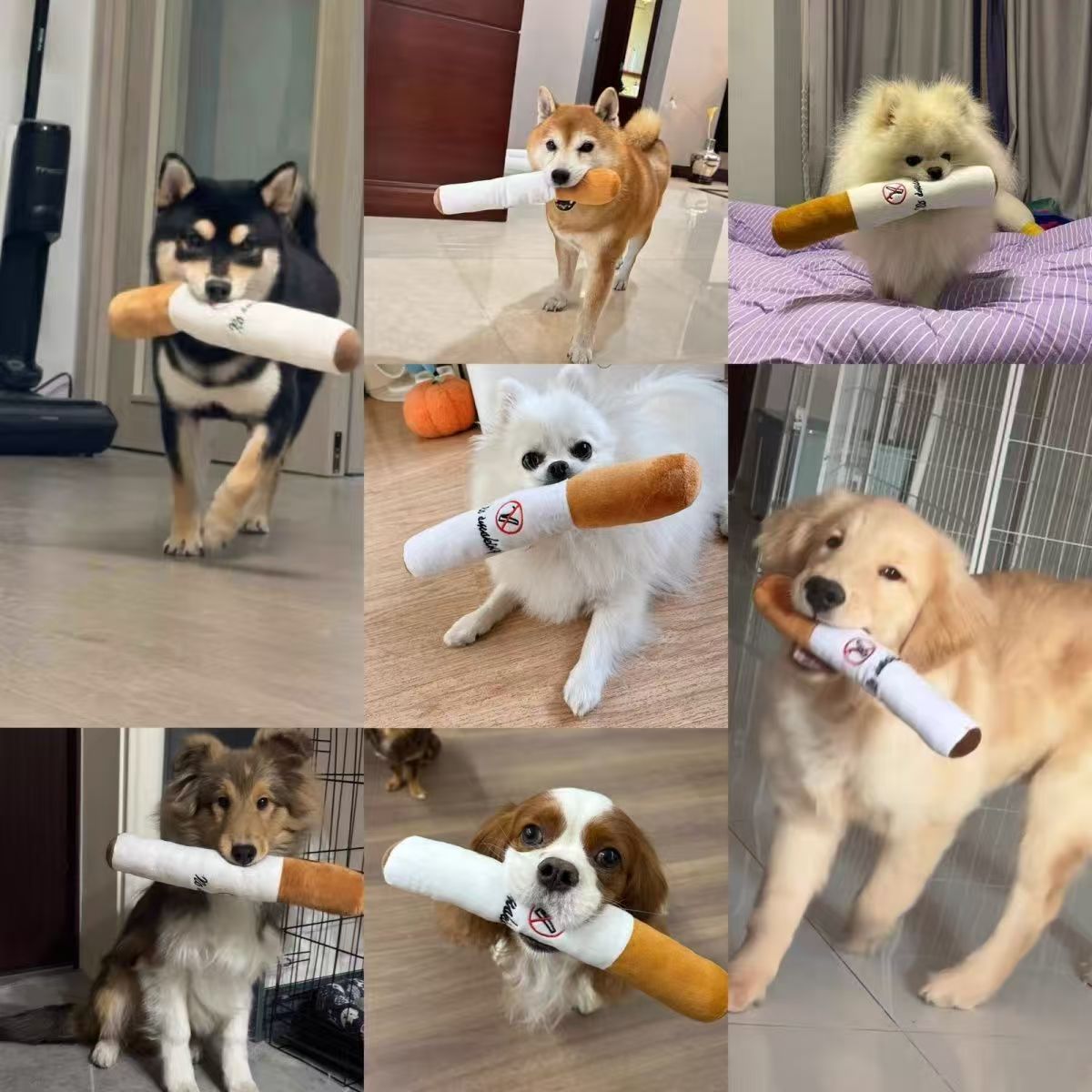 新品宠物毛绒玩具耐咬磨牙香烟抱枕可爱造型宠物玩具详情4