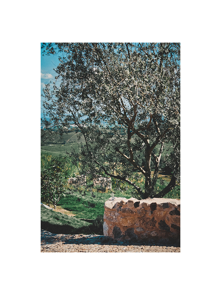 New autumn and winter style, artistic and retro original hazelnut red-brown cotton casual top, high-density, slightly elastic loose shirt for women pic 46