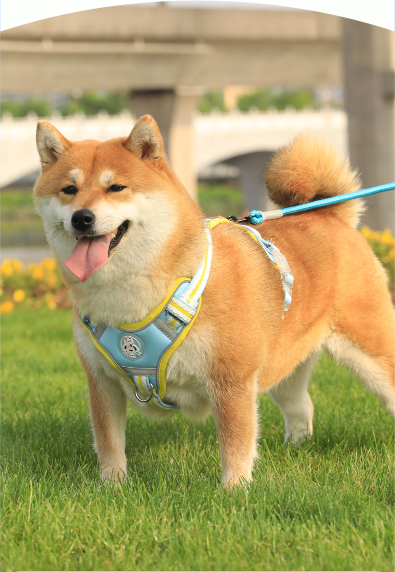 云感舒适颜值出街910胸背带柴犬款寸衫束紧夹休闲百搭女潮流夏季新款详情11