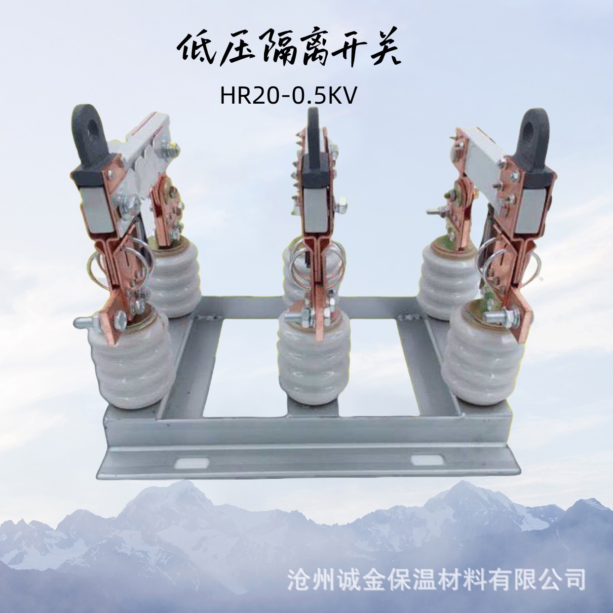 HR20-0.5KV/630A户外低压隔离开关0.5KV低压隔离刀熔开关隔离刀闸详情4