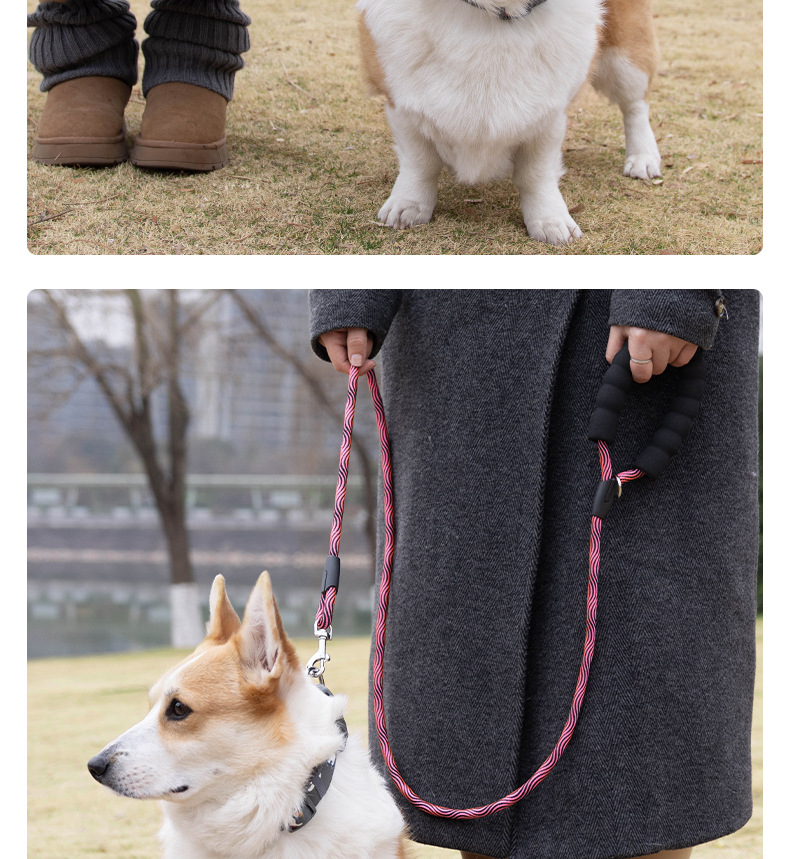 Dog leash, colorful nylon reflective round rope, large dog explosion-proof p rope, dog leash, medium and large dog leash pic 14