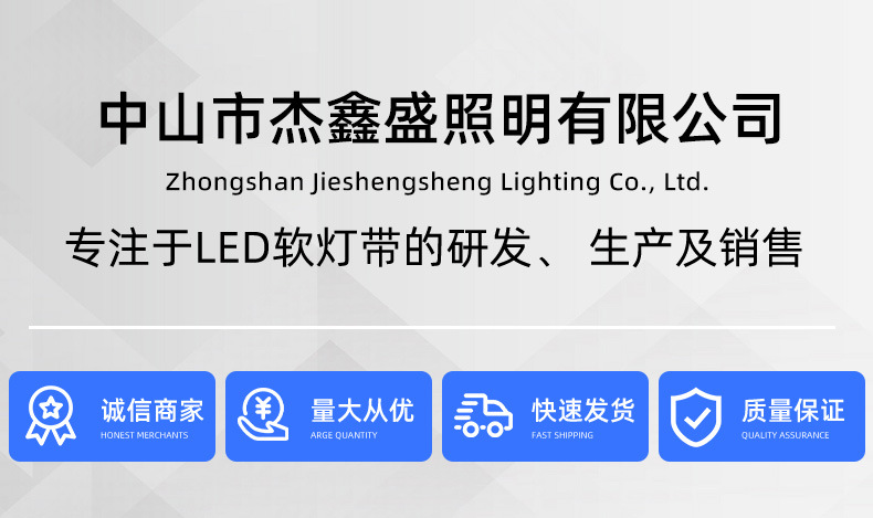 led灯带低压24V实心硅胶IP68户外防水高亮水底灯带亮化水池景观灯详情1