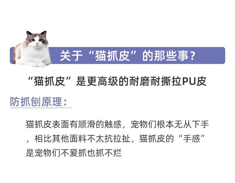 电脑椅家用办公室舒适久坐学习椅电竞椅宿舍椅子懒人椅学生椅子详情5