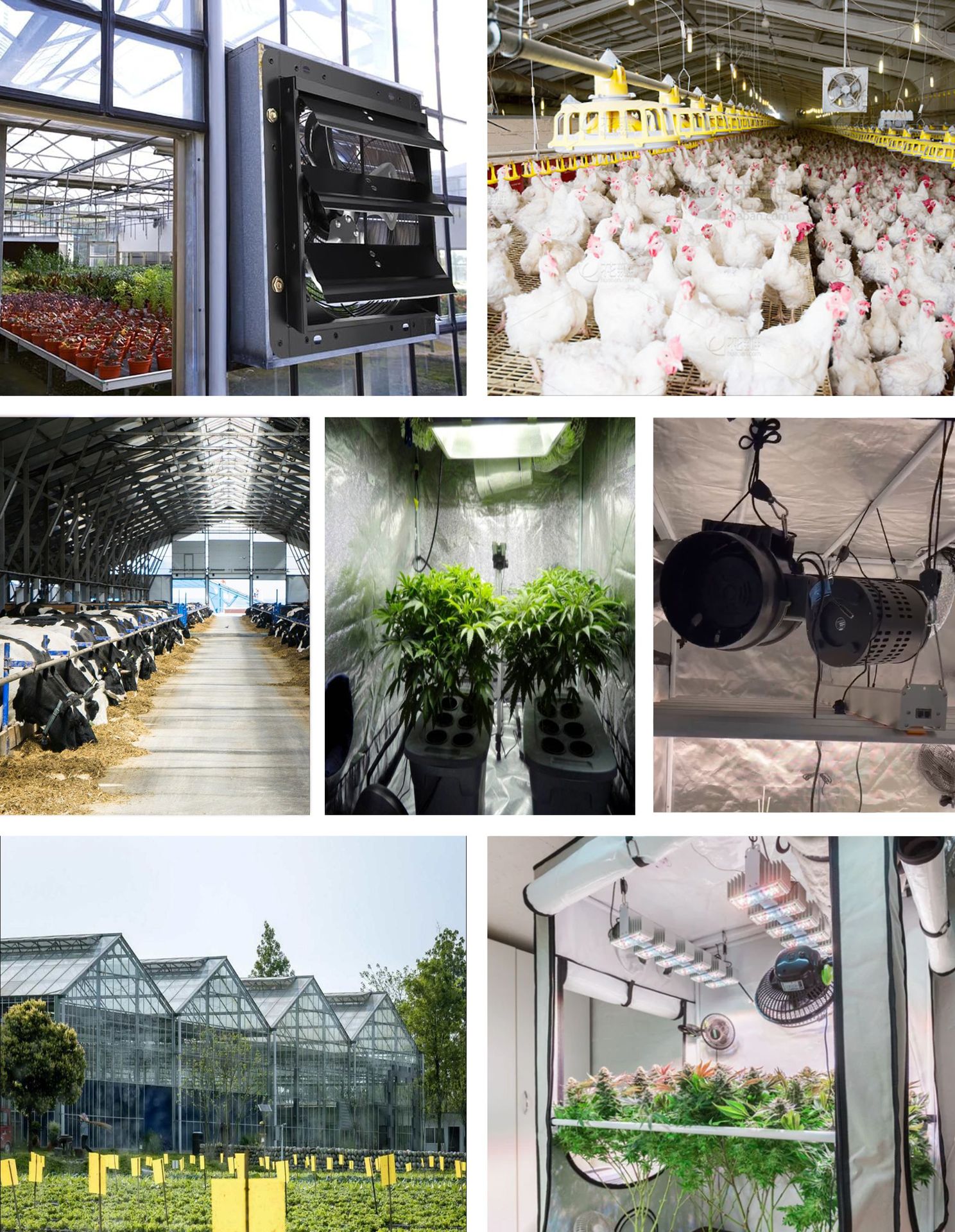 EC智能帐篷种植4寸6寸100mm斜流管道风机卫生间排风换气扇油烟抽详情9