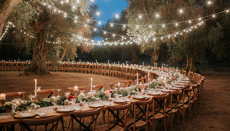 Star Outdoor wedding chairs, lawn wedding hotel cross-wood grain chairs, banquet soft packaging, event conference, restaurant backrest chairs pic 2