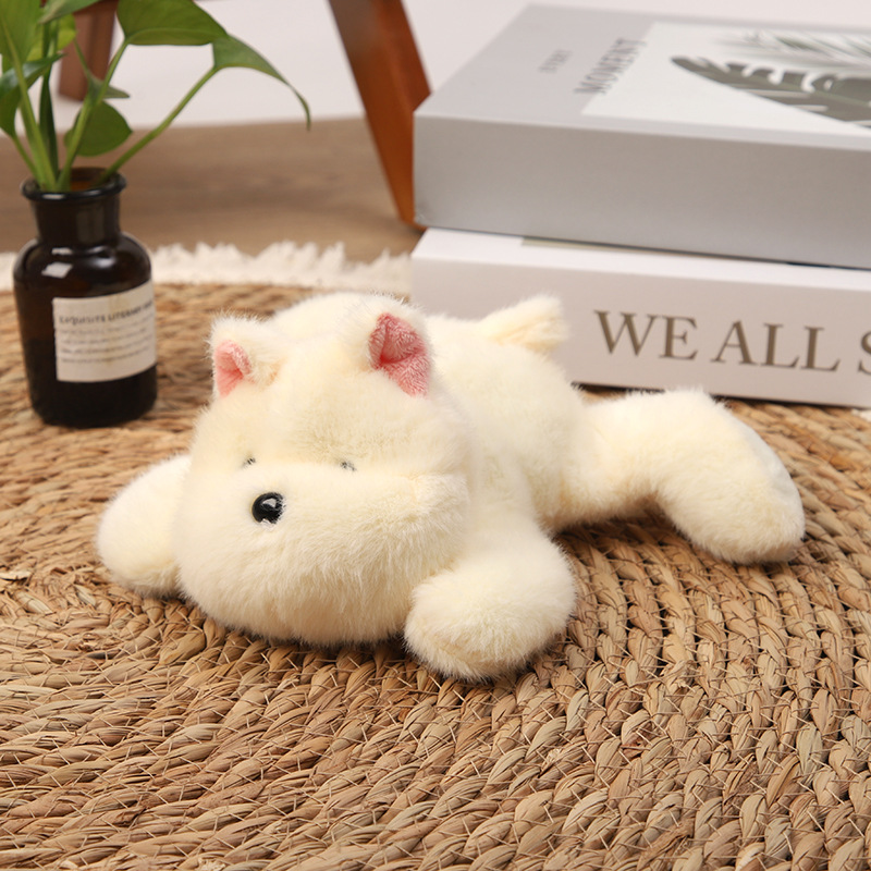 Wholesale of cute cartoon palm-sized plush toys, bear frog dolls, wedding throwing dolls pic 7