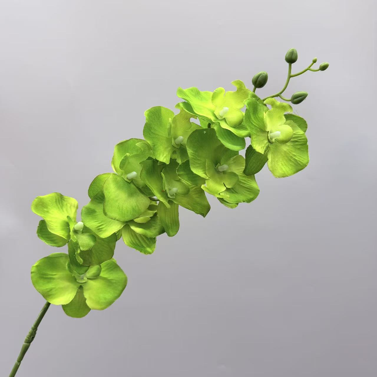 跨境仿真蝴蝶兰9头绢布客厅插花仿真花婚庆路引布景吊顶假花批发详情12