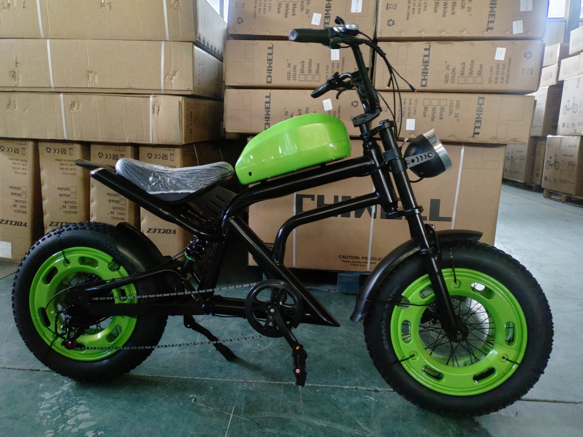 The new Harley-Davidson electric-assisted bicycle motorcycle 48v20ah high-power fat tire off-road motorcycle for snow pic 3