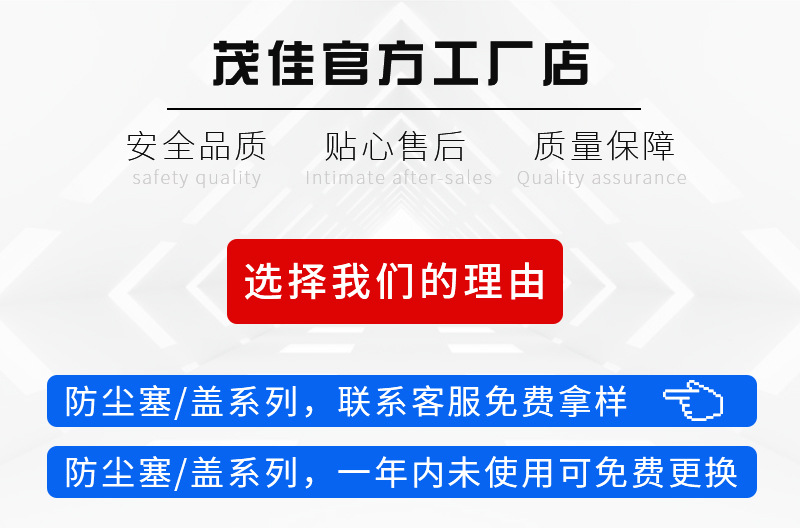选择我们的理由（防尘塞头图）.jpg