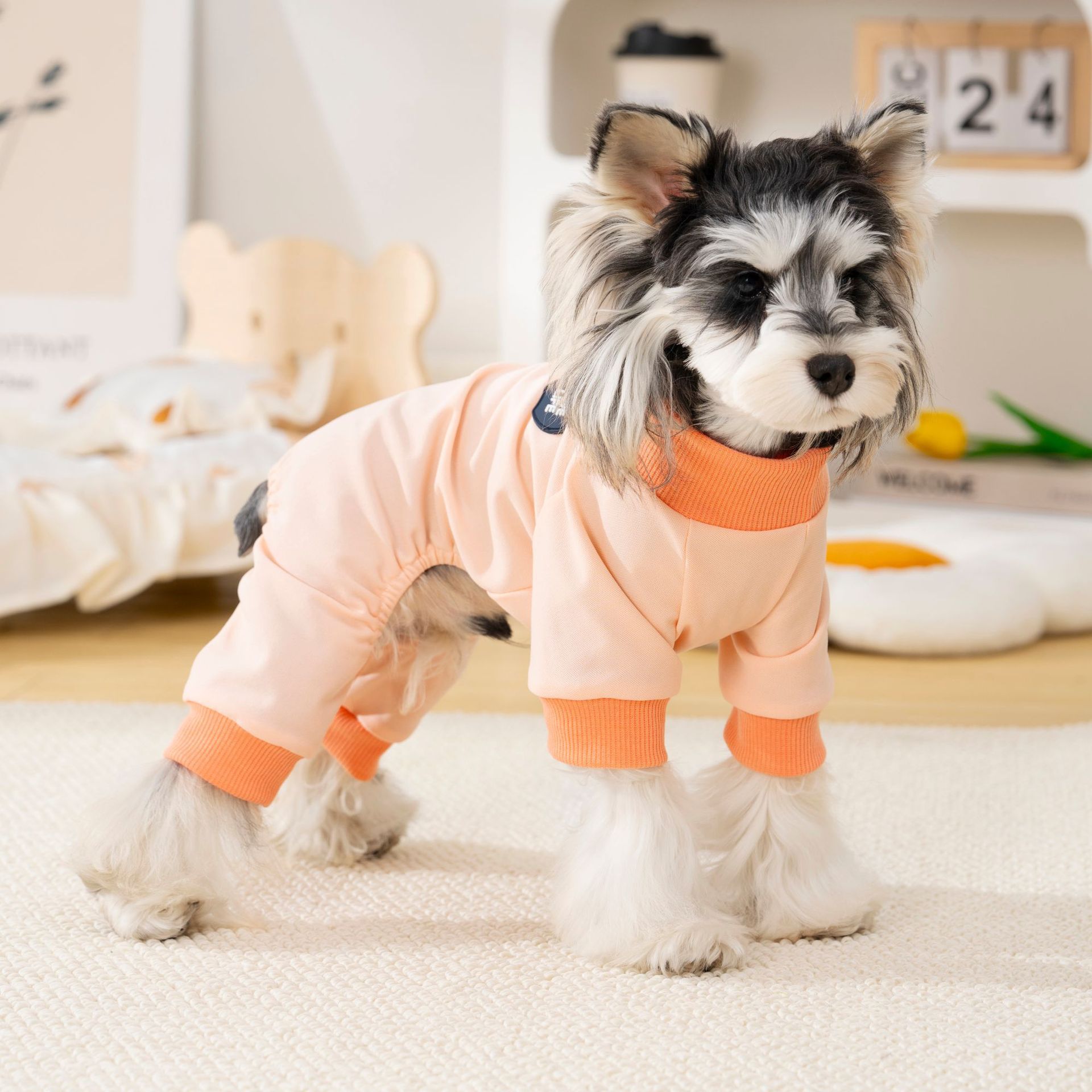 宠物狗狗春秋装居家休闲四脚衣比熊泰迪雪纳瑞可牵引薄款狗衣服详情12