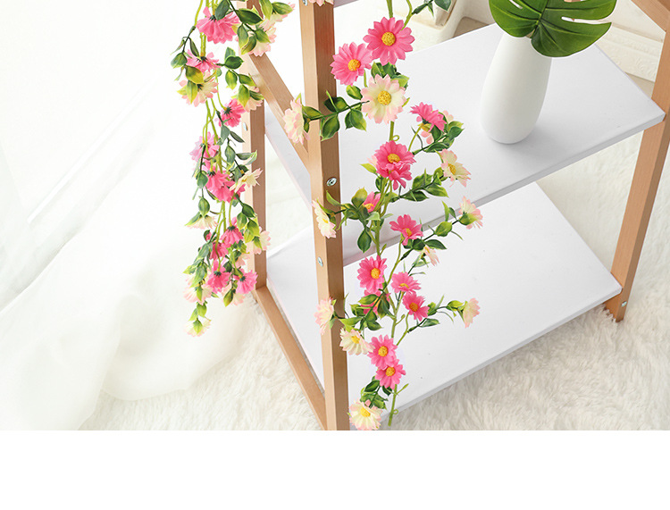 小雏菊---副本_11.jpg