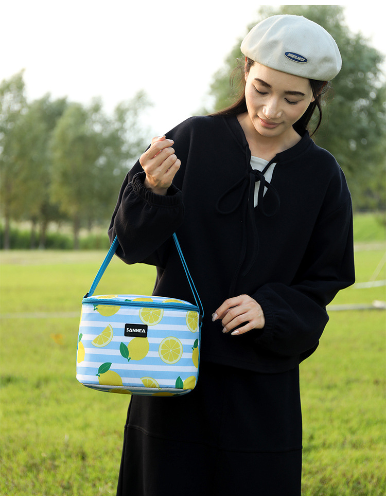 SAN Neng's new 6L insulated bag, Amazon cross-border lunch box bag, portable ice pack, outdoor picnic insulated bag pic 36