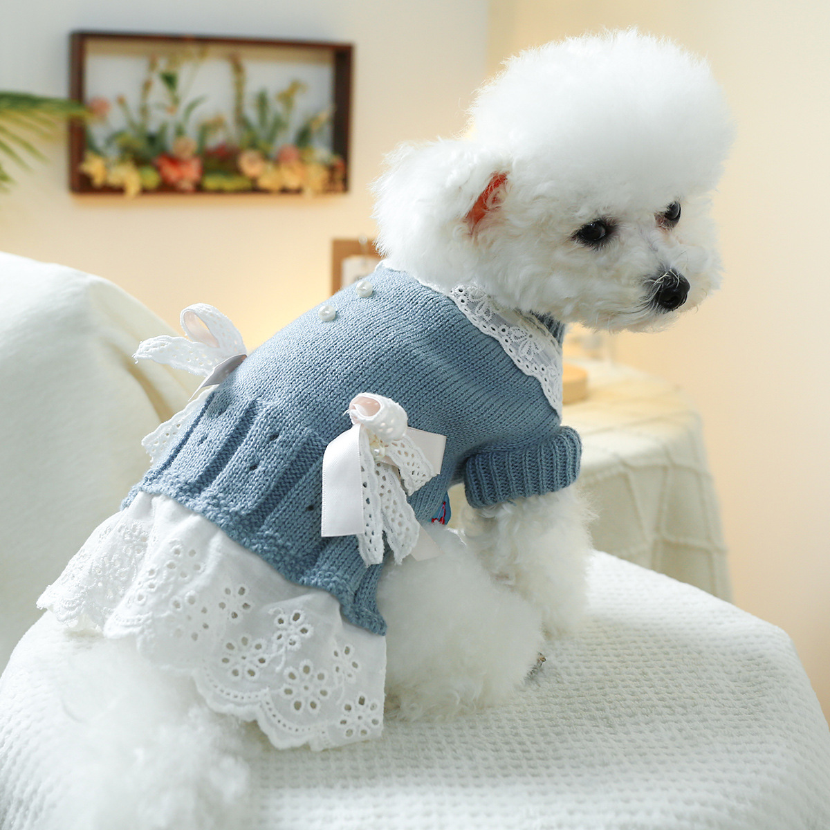 T Elegant princess cat and dog clothes, pet dog and cat warm and comfortable home clothes for autumn and winter, dog clothes, pet skirts pic 15