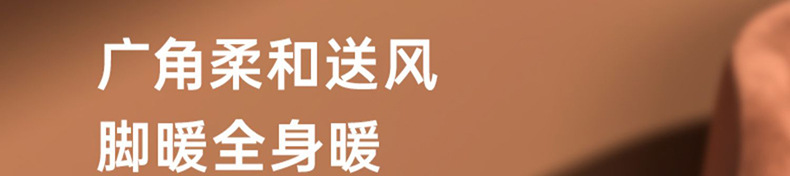 欧规美规陶瓷PTC发热暖风机小型静音桌面取暖器110V跨境电暖器详情26
