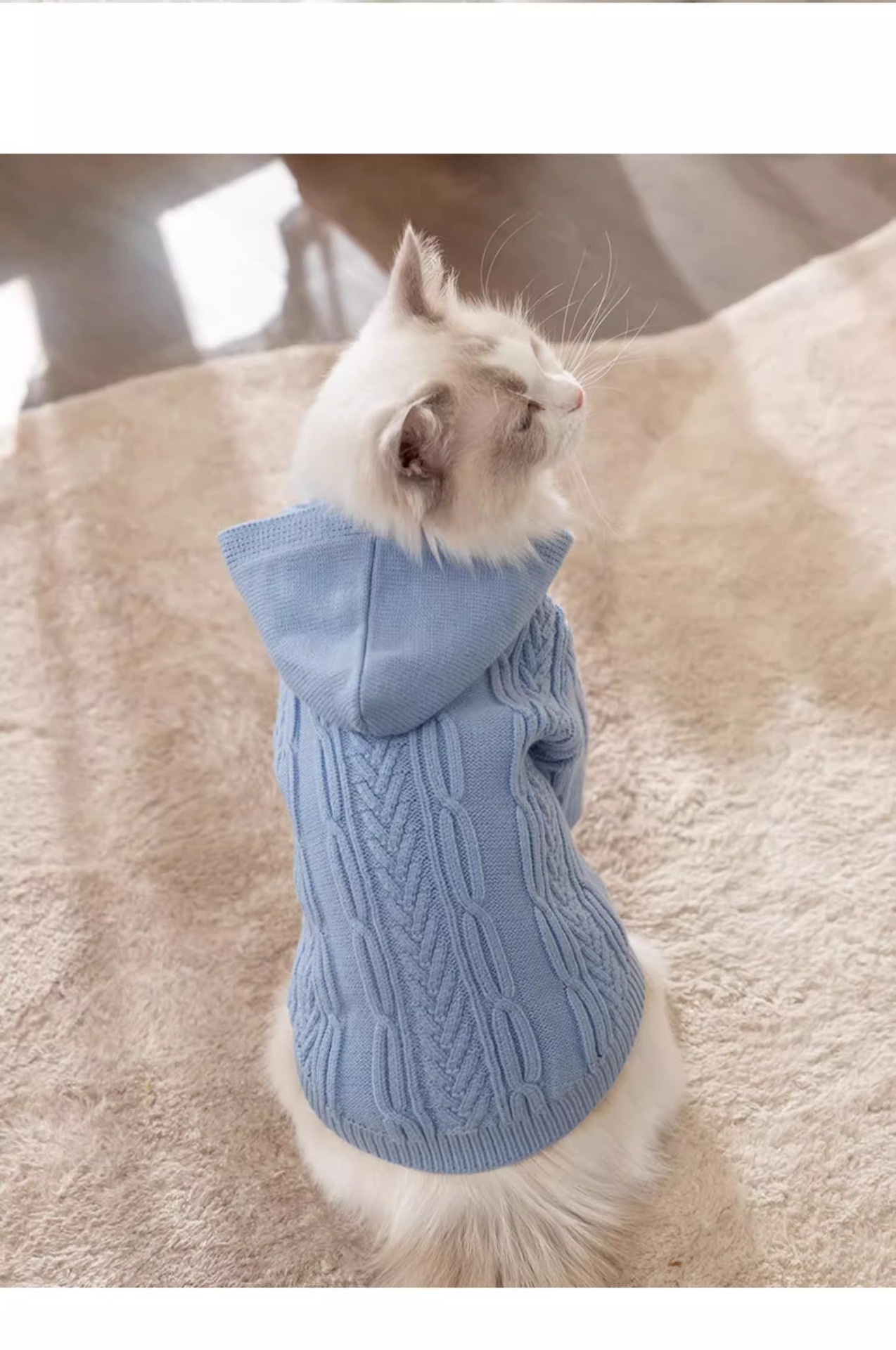 猫咪秋冬季连帽针织衫防掉毛猫咪衣服幼猫银渐层暹罗猫英短布偶猫详情7