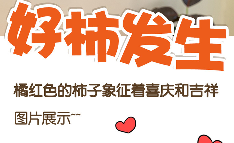 网红同款柿柿如意抱枕好事发生毛绒玩具公仔圆形毛绒靠枕生日礼物详情1