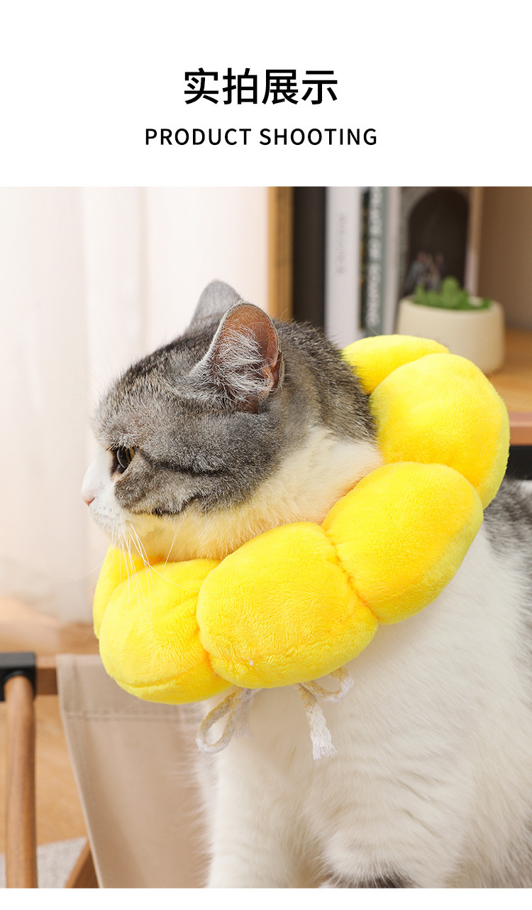 太阳花伊丽莎白圈 宠物项圈猫咪伊丽莎白项圈狗项圈绝育防舔头套详情23