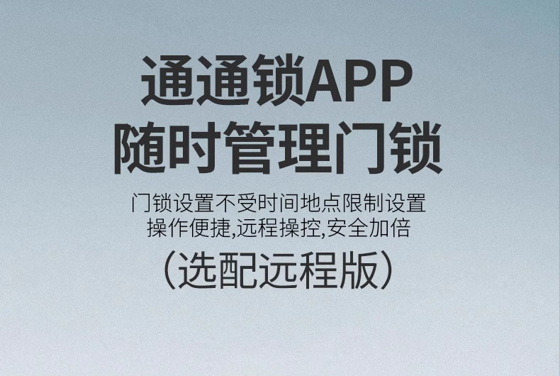 Bull head lock, electronic lock, anti-theft door, courtyard fingerprint lock, apartment iron gate, graffiti all smart lock, old-fashioned combination lock pic 12