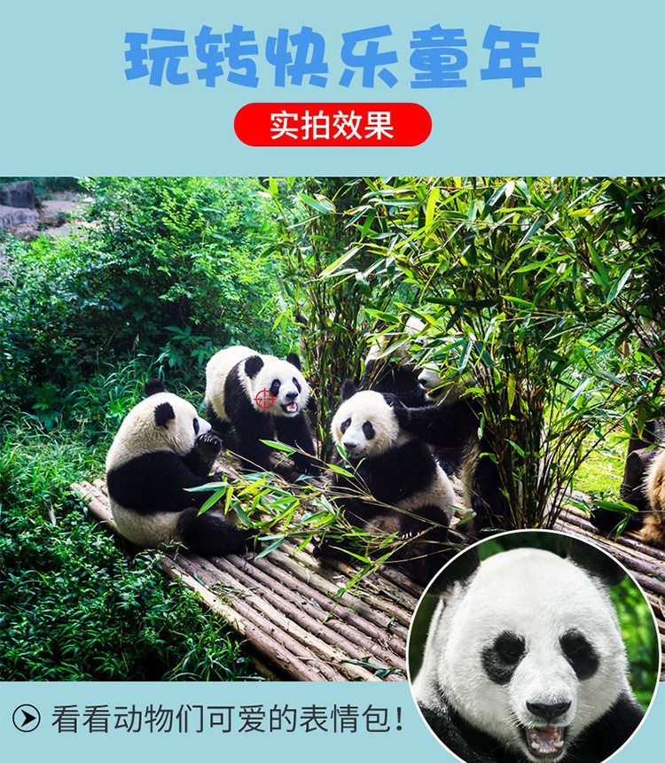 儿童望远镜 双筒望远镜儿童 高倍高清 户外望远镜 跨境专供详情8
