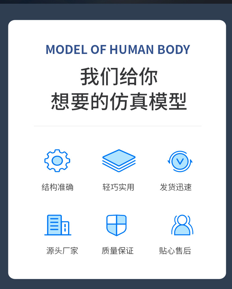 突触模型解剖人体内脏切面图教学人体模拟模型多功能科普教育用品详情2