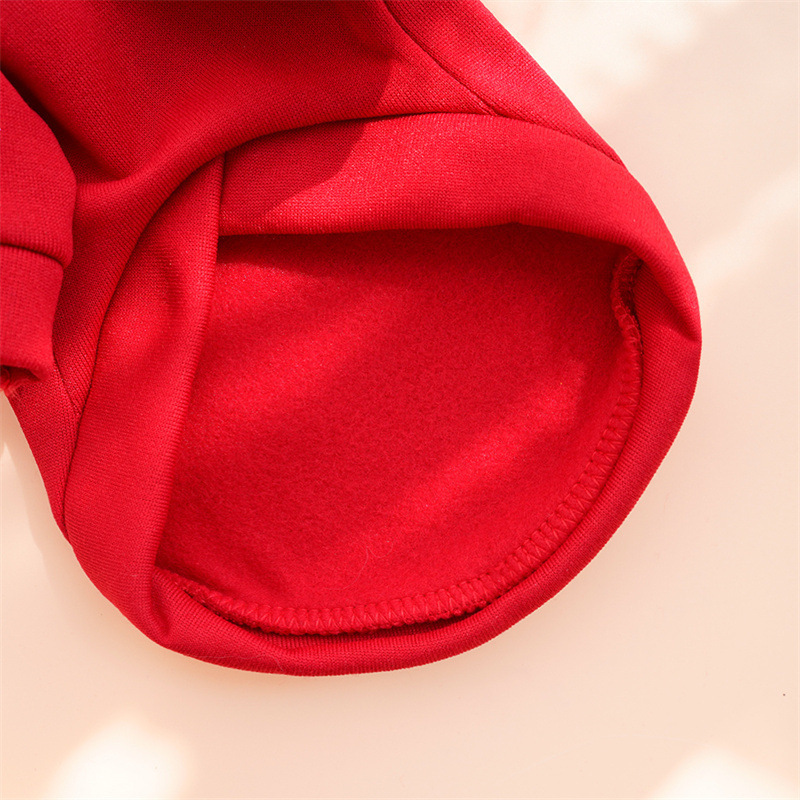 Año nuevo ropa de mascotas otoño invierno más peluche dos pies hoodies para perros ropa de gato teddy suministros fabricantes al por mayor pic 8
