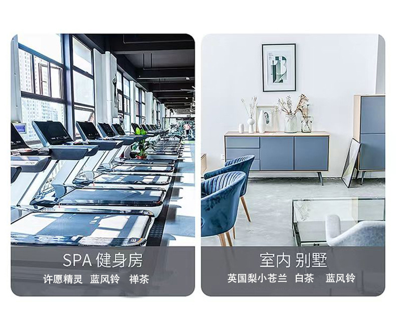 Hotel fragrance machine special aromatherapy essential oil large capacity aromatherapy replenishment liquid, long-lasting fragrance hotel essential oil aromatherapy pic 4