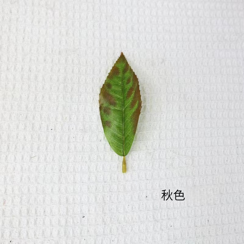 仿真红花油茶叶绿植单片毛尖茶叶绿茶大白茶红茶园林装饰摆设批发详情11
