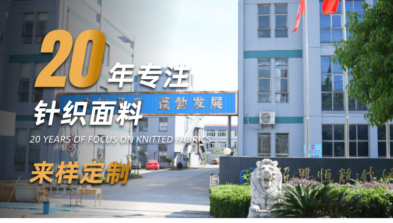 柯桥批发 300g涤氨网格双面 菠萝格T恤帽衫运动服卫衣面料详情1