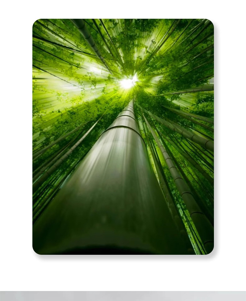 Head meridian air cushion comb, massage large comb, anti-static bamboo air bag comb for long female hair, wooden comb pic 19