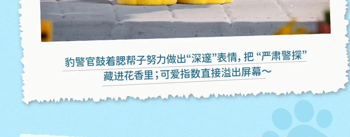正版迪士尼花花动物城系列盲盒潮玩手办可爱公仔桌面摆件礼品批发详情12