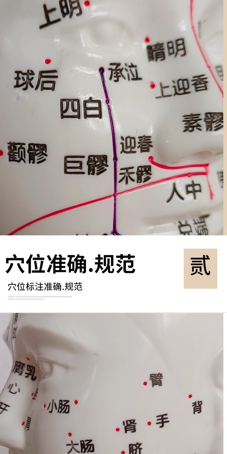 Head medical acupuncture practice model, traditional Chinese medicine acupoint meridian massage human body model, massage head model 21cm pic 10