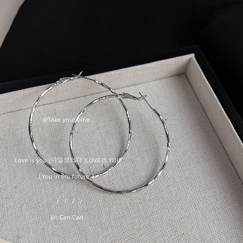 Exaggerated personality, ins, high-end, sweet and cool, versatile, large round ear rings, simple and elegant, new earrings from the factory pic 8