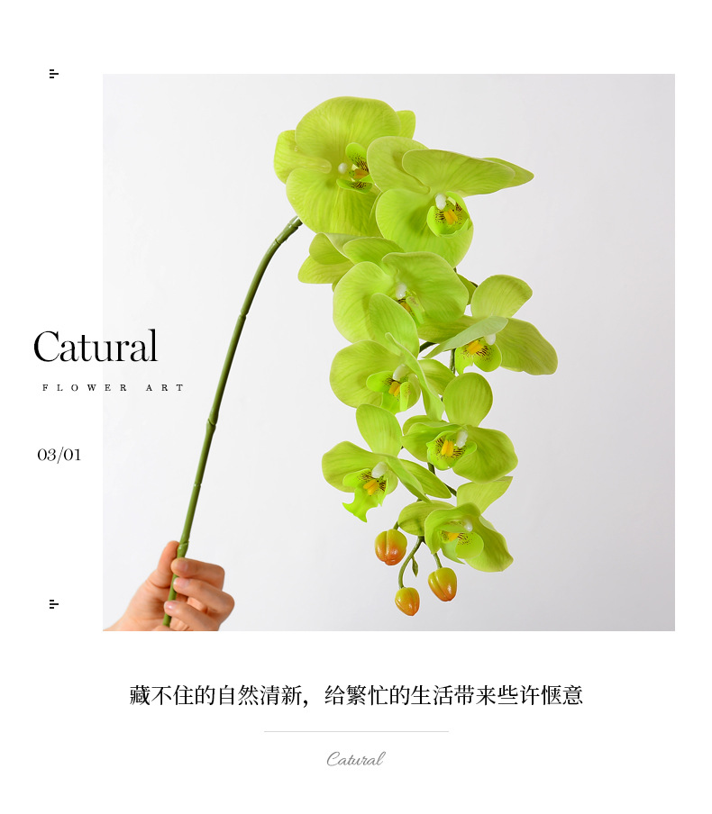 高品质9头蝴蝶兰仿真花手感假花套装摆设酒店卧室花装饰摆件干花详情9