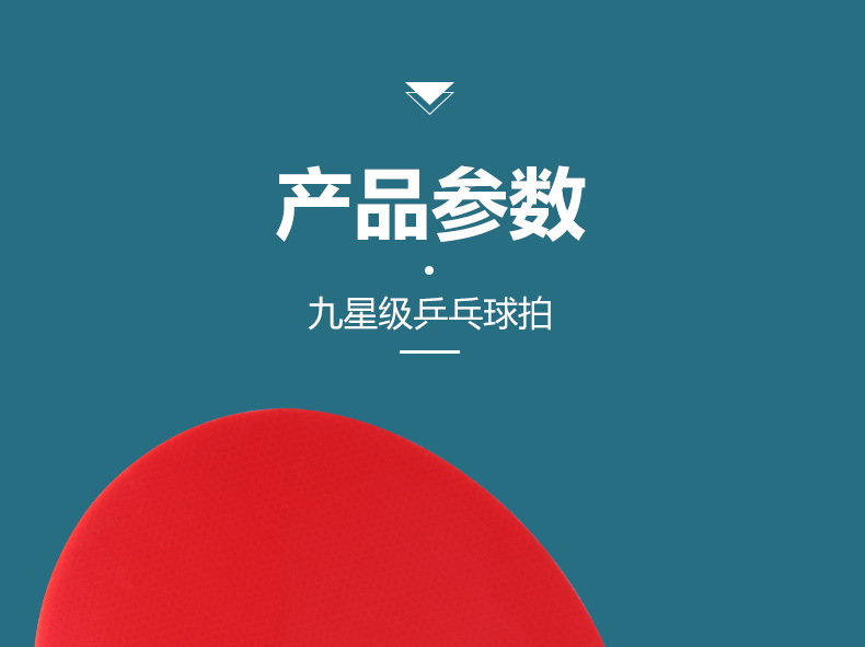 红双喜九星乒乓球拍七星八星天极蓝狂飙龙孙颖莎专业兵乓横拍正品详情15