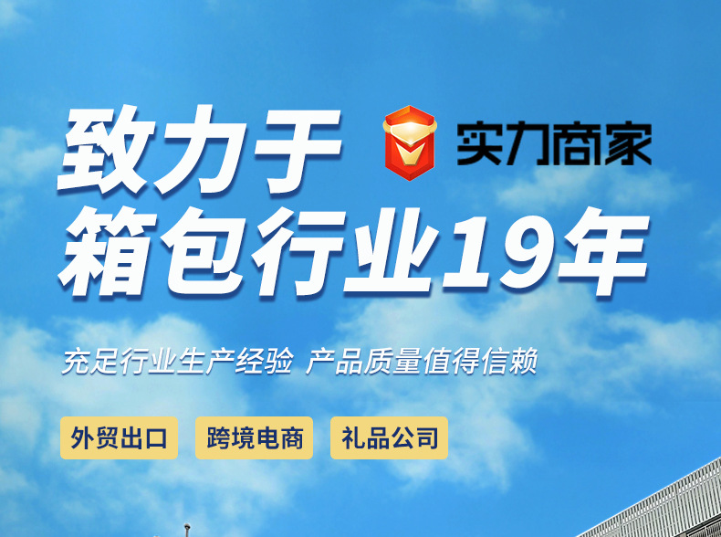 跨境热款便当包 肩带可调节午餐袋 食物手提包保温午餐包冰袋现货详情1