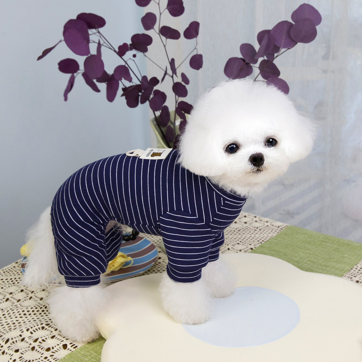 宠物条纹毛衣宠物服装猫狗衣服春夏款宠物狗狗衣服宠物服饰宠物衣服套装详情11