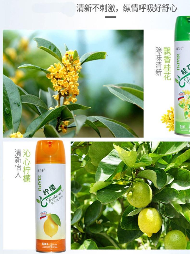 Air freshener for deodorizing, household toilet and bedroom aromatherapy spray for deodorizing, long-lasting fragrance, whole box pic 11