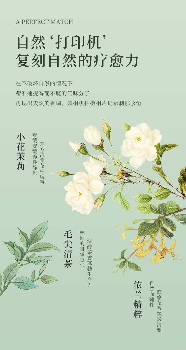 栀子花书房香水卧室无火香薰高级茉莉香氛精油浴室除异味空气净化详情4