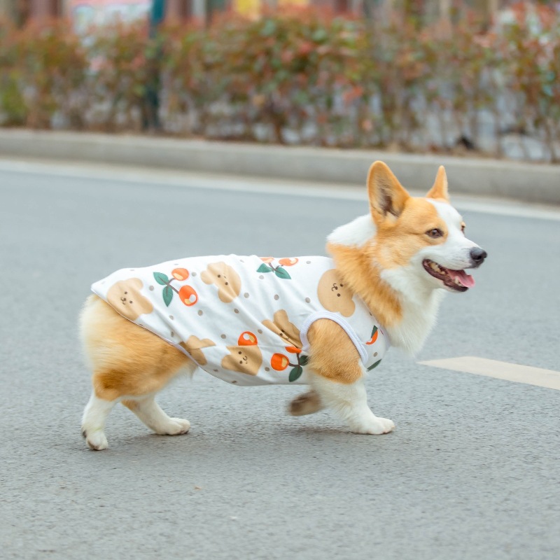 狗狗背心四季款宠物T恤可爱卡通狗狗服装印花中型犬幼犬现货批发详情15