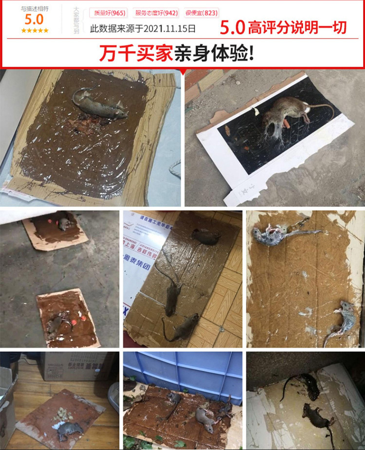 粘鼠板粘大老鼠胶水自涂家用桶装高粘度专粘驱鼠胶水灭鼠捕鼠神器详情2